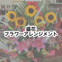 img_20180212-004359.jpg