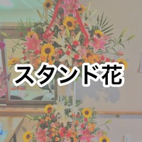 img_20180212-004816.jpg