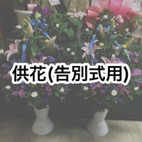 img_20180212-005111.jpg