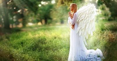 img_20170902-152831.jpg