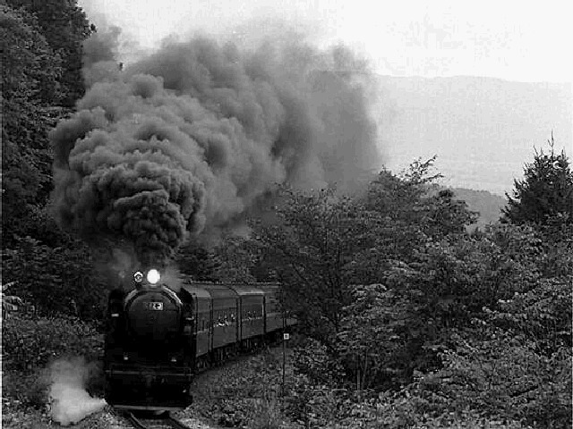 どすこいSports & 瓦版 撮り鉄の岡引(モノクロ)