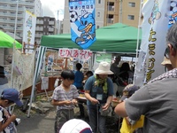 img_20150610-160151.jpg