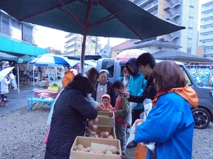 img_20151115-174740.jpg