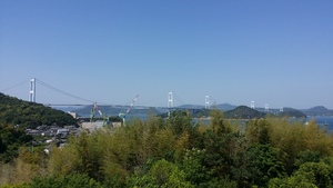 img_20190524-030829.jpg