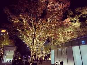 img_20191123-170036.jpg