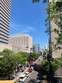 img_20260612-112355.jpg