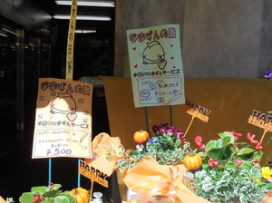 img_20161015-115929.jpg