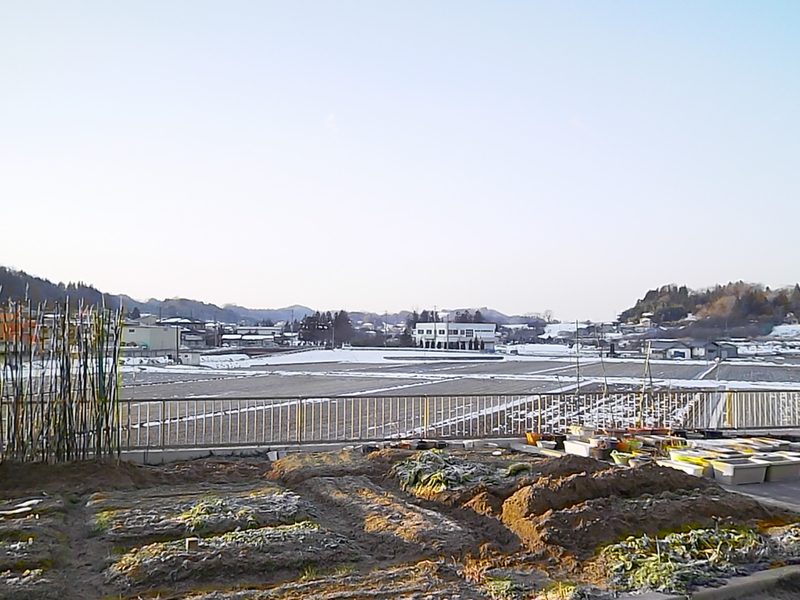 大久保マッサージ接骨院 (福島市飯野町)(*^^*)マッサージ,交通事故治療,整体,指圧,伊達郡, ブログ(^0_0^)