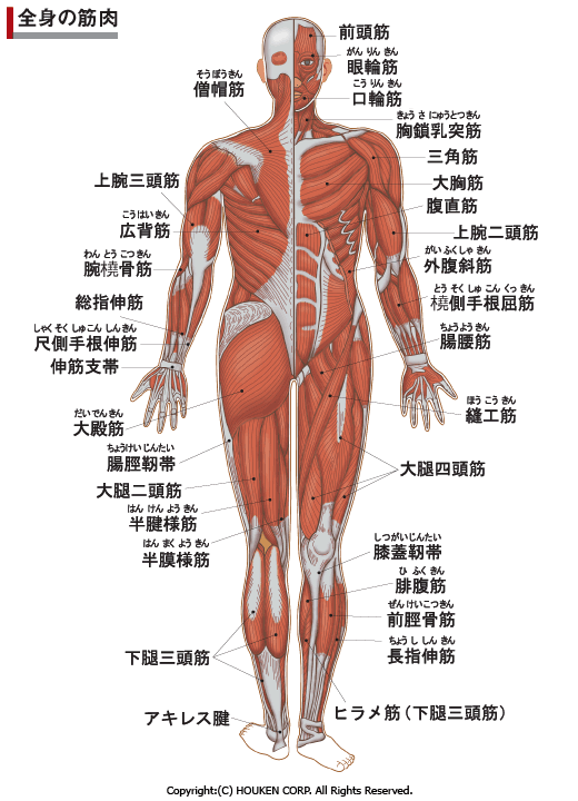 欧米人の歩き方をマスターするだけで