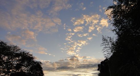img_20171014-010731.jpg